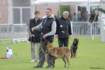 Remise des Prix 140.JPG - CHIENPLUS.COM